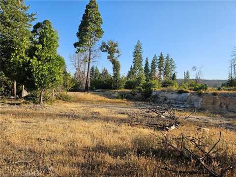 18 Sand Creek Drive, Berry Creek, CA 95916