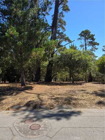 2418 Malvern Street, Cambria, CA 93428