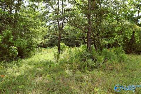 3 Acres County Road 198, Danville, AL 35619