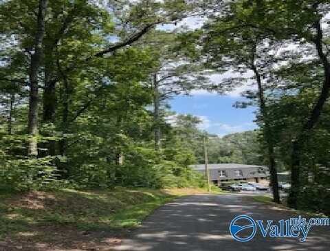 .6 Ac Alford Street, Guntersville, AL 35976
