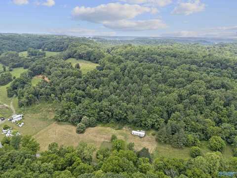 55 Thompson Hollow Road, Taft, TN 38488
