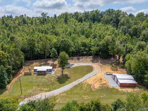 5200 Peeks Hill Road, Ohatchee, AL 36271
