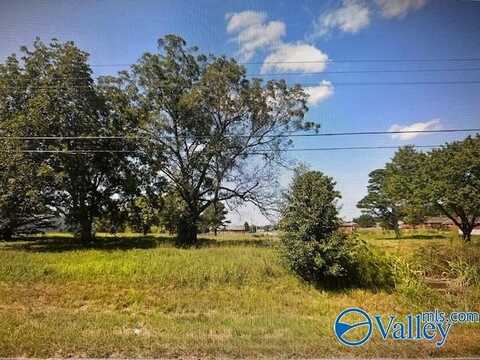 1325 Eddy Scant City Road, Arab, AL 35016
