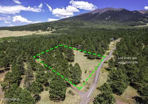 7023 W Private Pine Mountain Road, Flagstaff, AZ 86001