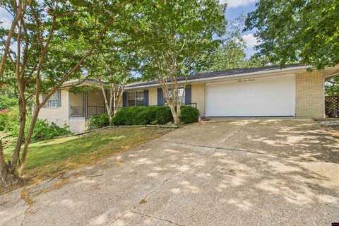 3113 JANICE CIRCLE, Mountain Home, AR 72653