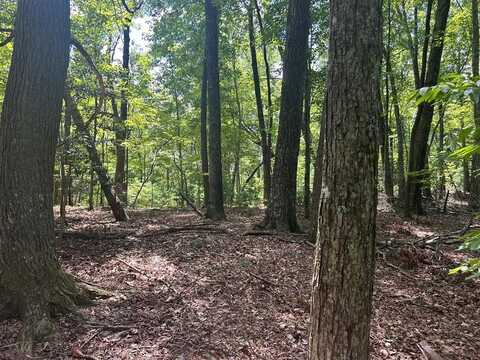 22.5 Ac Hwy 2, Blue Ridge, GA 30513
