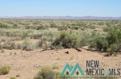 00 Eastside Addition Street, Columbus, NM 88029