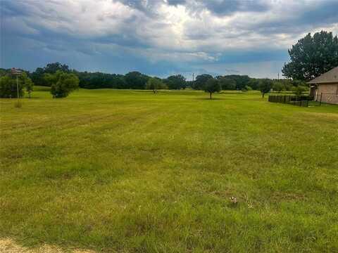27208 Meadowmore Drive, Whitney, TX 76692