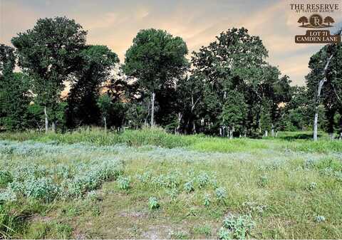 Lot 71 Camden Lane, Springtown, TX 76082