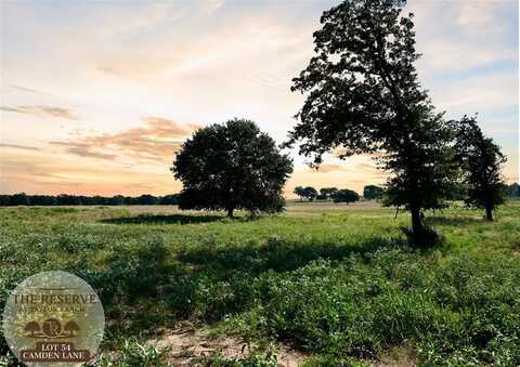Lot 54 Camden Lane, Springtown, TX 76082