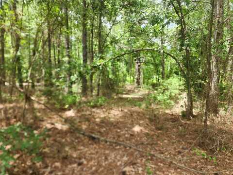 9999 County Road 2140, Quitman, TX 75783