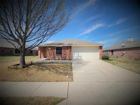 14145 Gold Seeker Way, Fort Worth, TX 76052