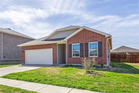 821 Cherry Blossom Street, Anna, TX 75409