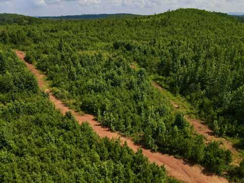 0 Cedar Springs Road, Talladega, AL 35160