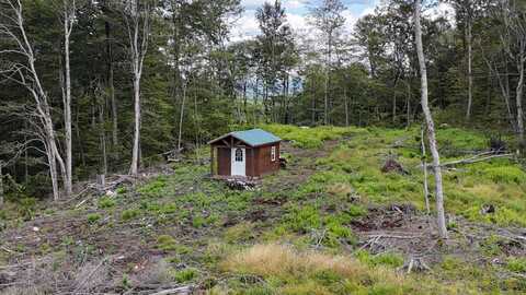 00 Switzer Rd, Salisbury Center, NY 13454