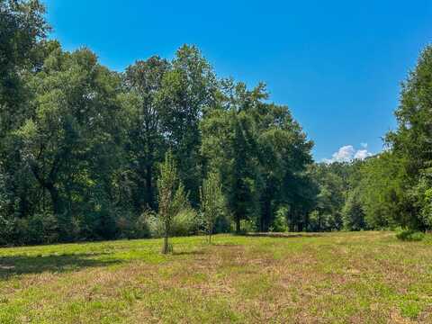 0 Alabama HWY 60, Moundville, AL 35474