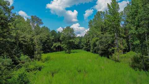 0 Alabama HWY 60, Moundville, AL 35474