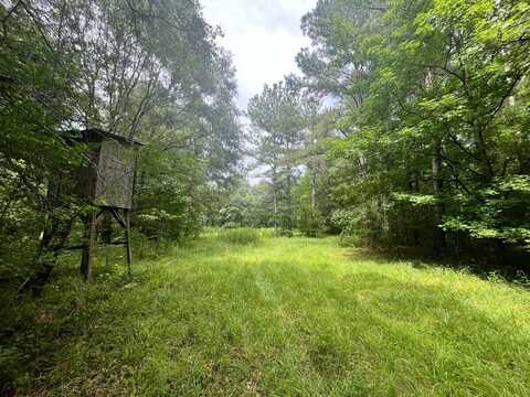 00 Highway 505, Lawrence, MS 39336