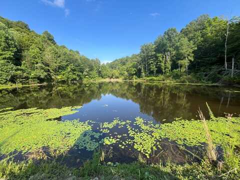 0 Estel Asbury Rd, Columbia, KY 42728