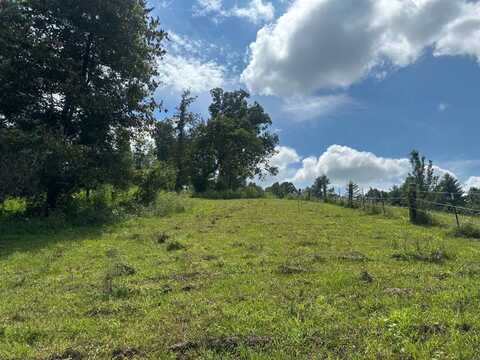 21 Joy Hughes Lane, Leicester, NC 28748