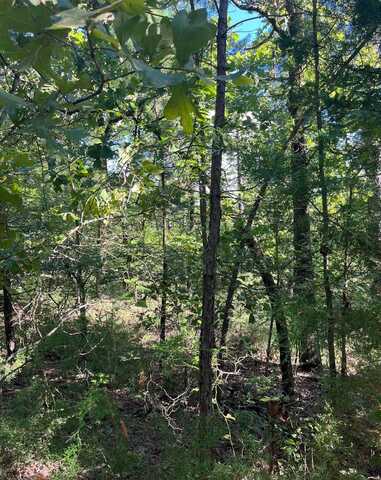 Tract 6 SE 1083 Road Ave, Red Oak, OK 74563