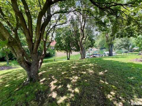 463 JUNIPER Drive, Petersburg, IL 62675