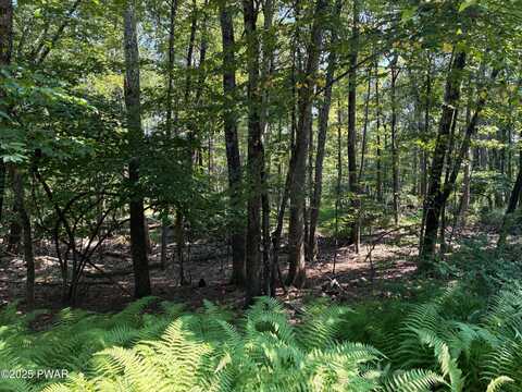 Hawthorne Road, Milford, PA 18337
