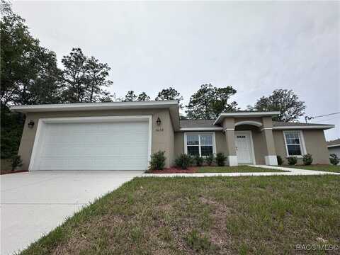 9238 N Agatha Drive, Citrus Springs, FL 34434