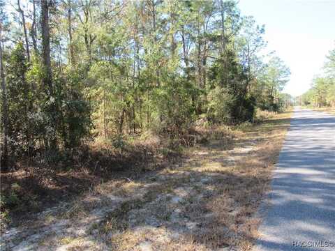 SW BEAVER Drive, Dunnellon, FL 34431