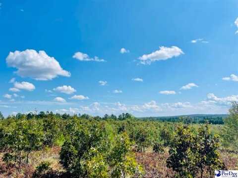 Gun-O-Field Rd, Wallace, SC 29596