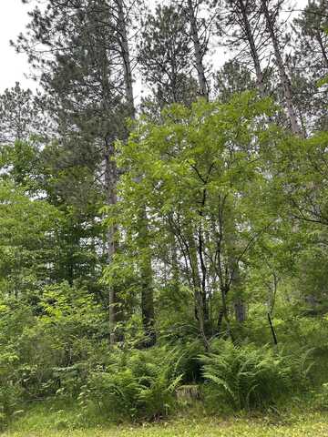 BURNT PINE Road, LAKEWOOD, WI 54138