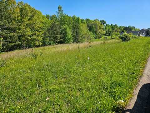 0 County Road 327 Lot 8, Niota, TN 37826