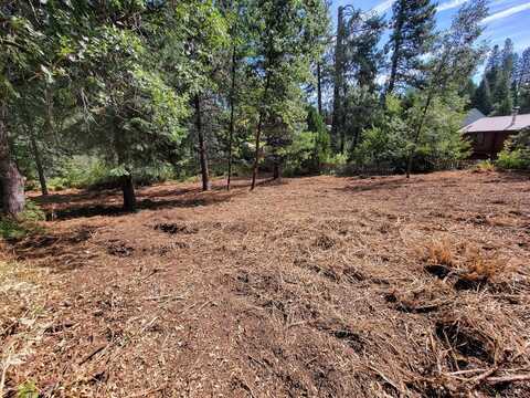 000 W Colombero Dr, McCloud, CA 96057