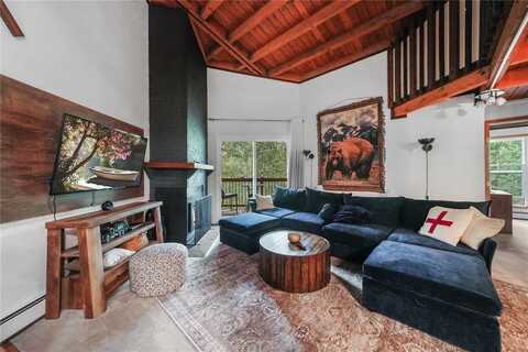 8100 RYAN GULCH ROAD, Silverthorne, CO 80498