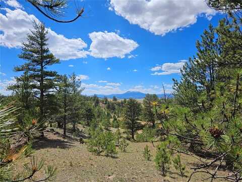 PCS#25253 FERNANDO TRAIL, Hartsel, CO 80449