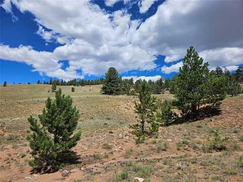PCS#25253 FERNANDO TRAIL, Hartsel, CO 80449