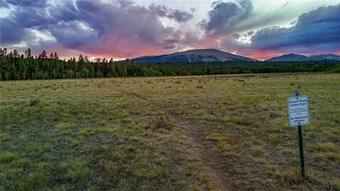 1031 BLUESTEM WAY, Fairplay, CO 80440