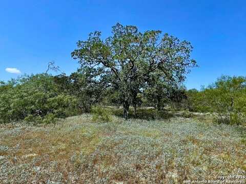 33 Acres CR 114, Nixon, TX 78140