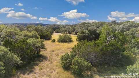1732 Herbelin, New Braunfels, TX 78132