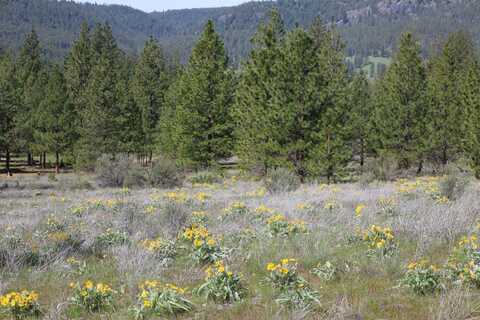 Tbd Spring Creek Rd, Reardan, WA 99029
