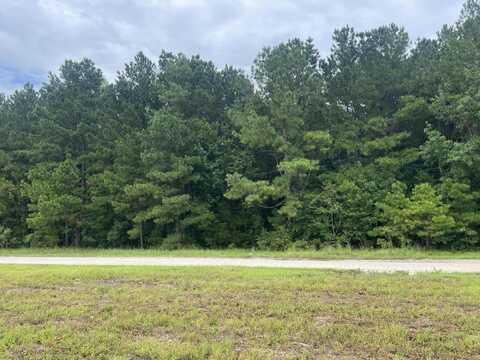 Herring Drive, Manning, SC 29102
