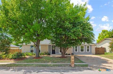 1602 Provident Lane, Round Rock, TX 78664