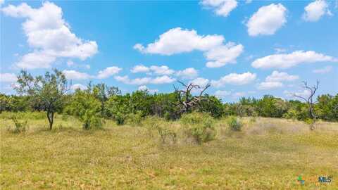 Lot 13 PR 42111, Evant, TX 76525