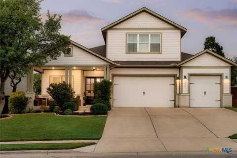 307 Hazy Hills Loop, Dripping Springs, TX 78620