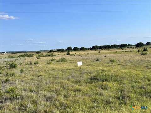 Lot 8 Cottonwood Mesa Drive, Kempner, TX 76539