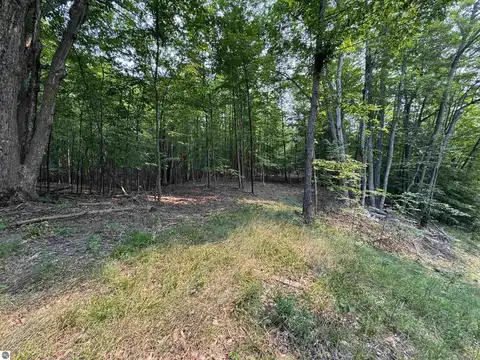 Lot #3 E Bellinger Road, Cedar, MI 49621