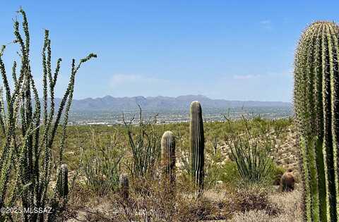 5593 N Park Ridge Place, Tucson, AZ 85743