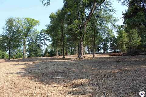 TBD Hwy 67, Redwater, TX 75573