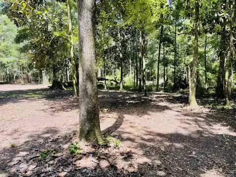 1169 Old Bumpy Road, Tallahassee, FL 32317