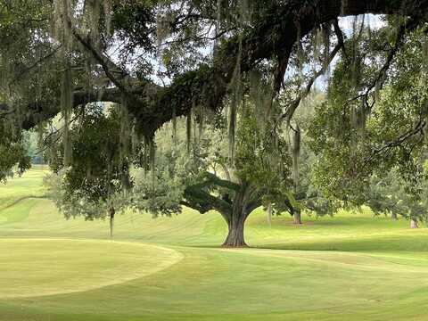 Edenderry Drive lot: 2, Tallahassee, FL 32309